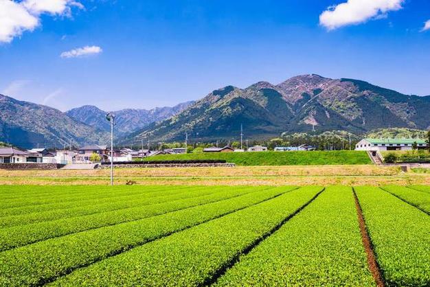 日本mokumoku农场经营模式|旅游|养殖|农产品_网易订阅
